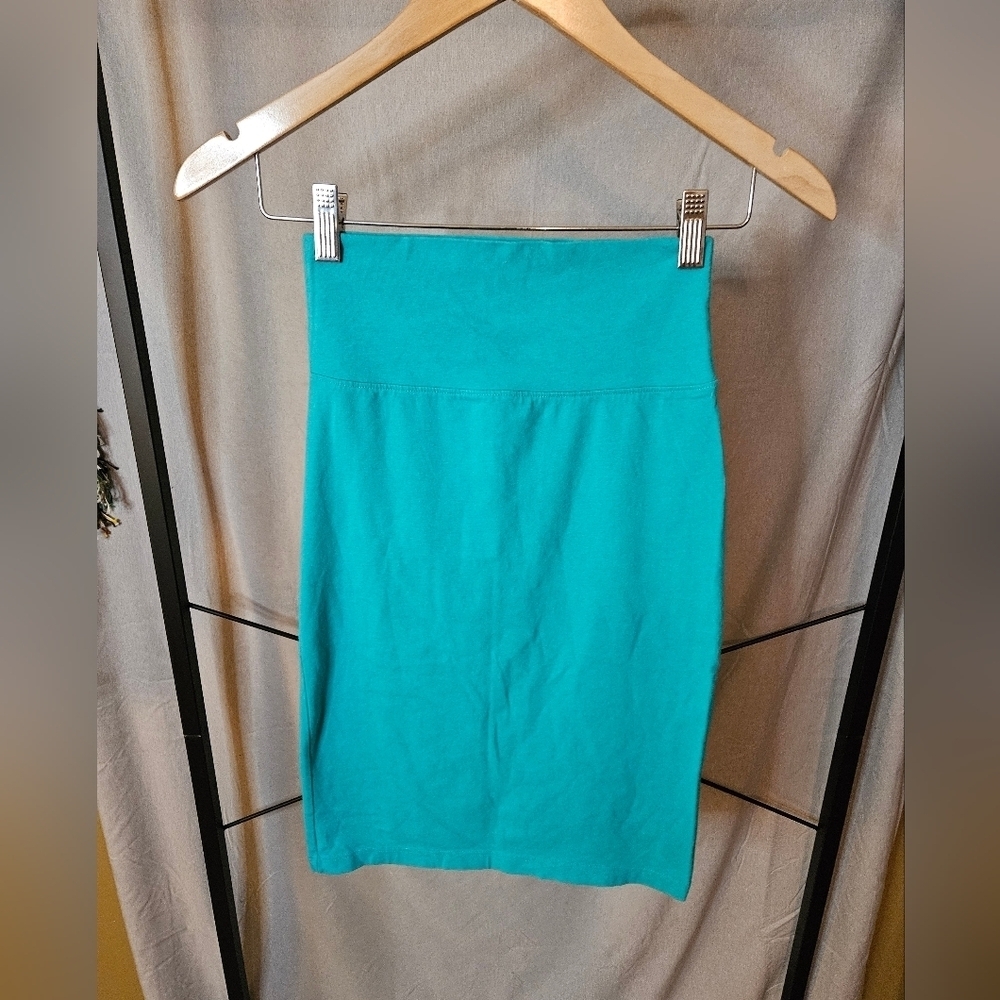 Vintage Express Fitted Pencil Skirt